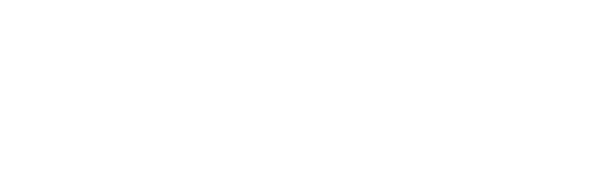 FD PROJECT